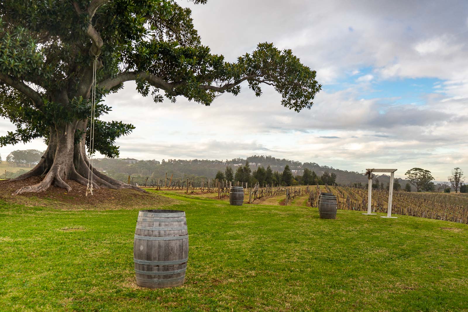 The best things to do in the Hunter Valley! (2024)