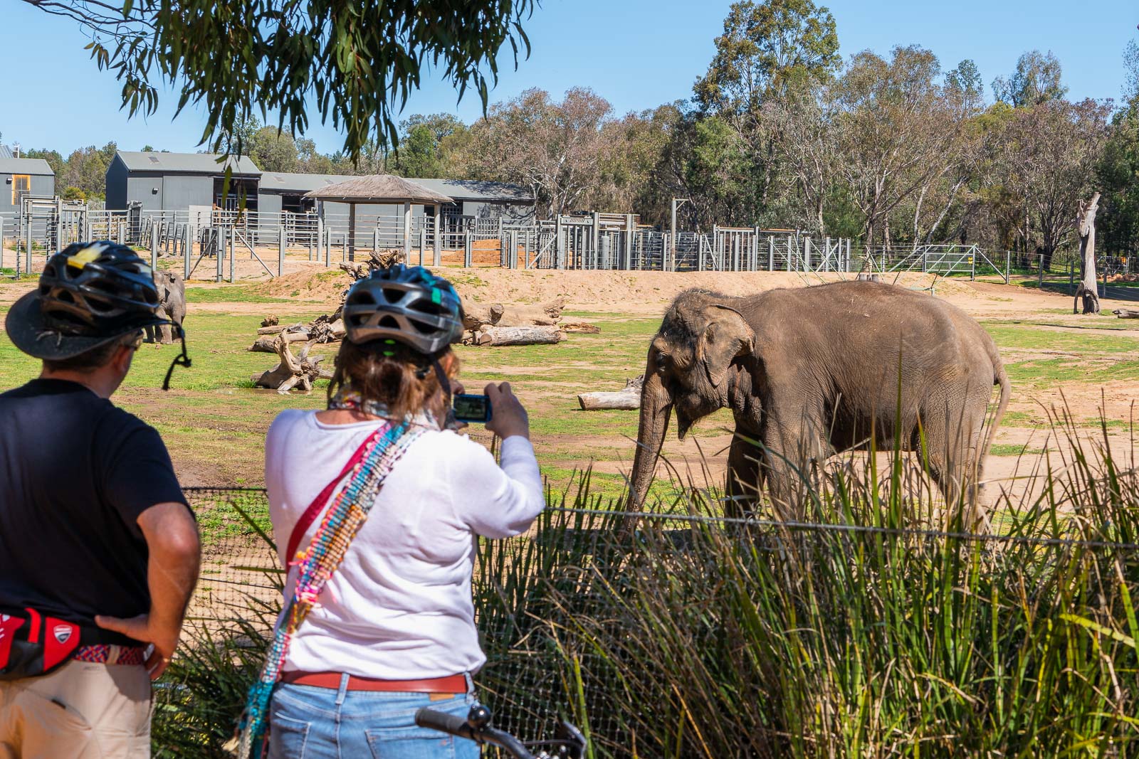 The best things to do in Dubbo Central West NSW The best things to do in Dubbo Central West NSW