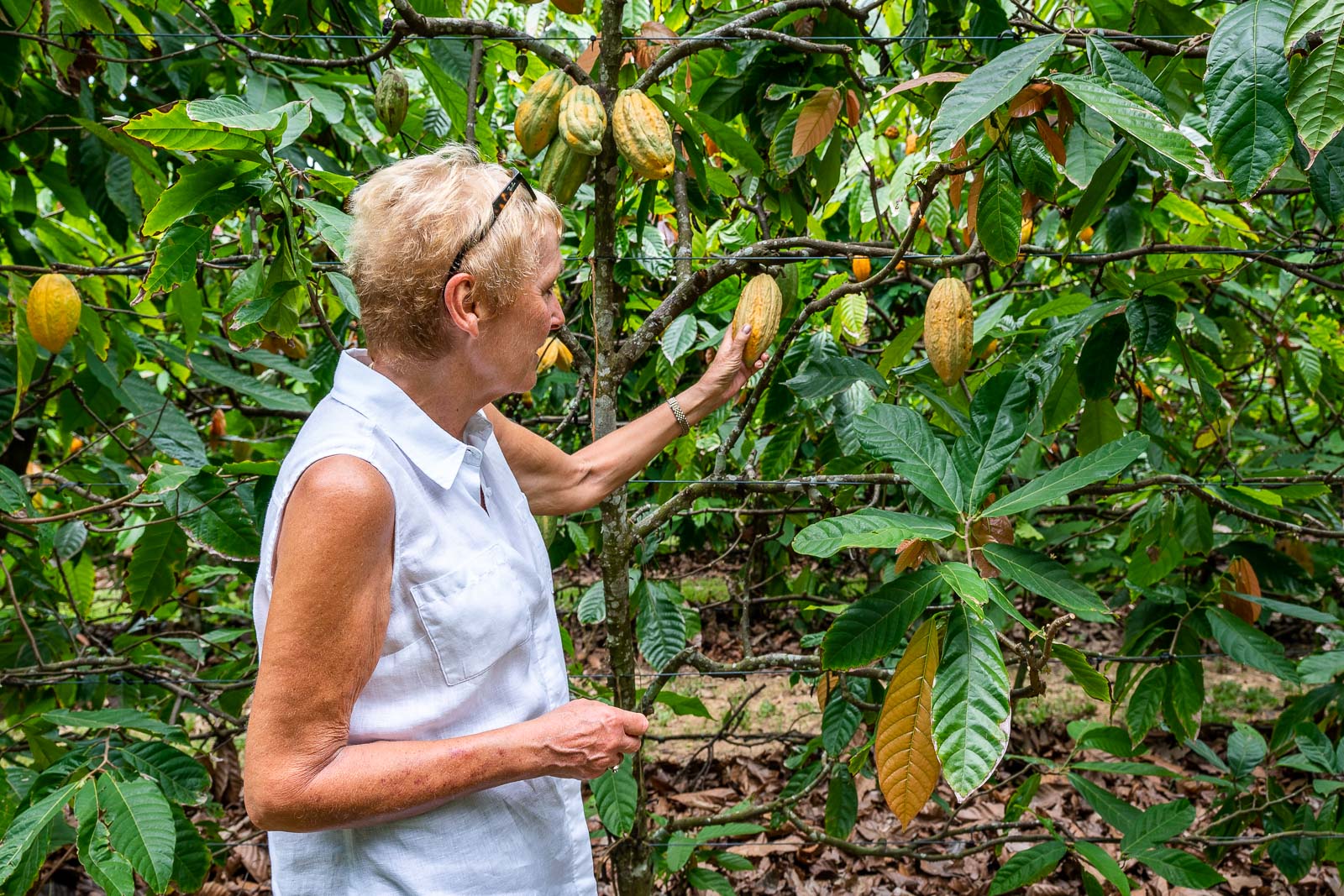 Charley's Chocolate Factory, Mission Beach, Queensland