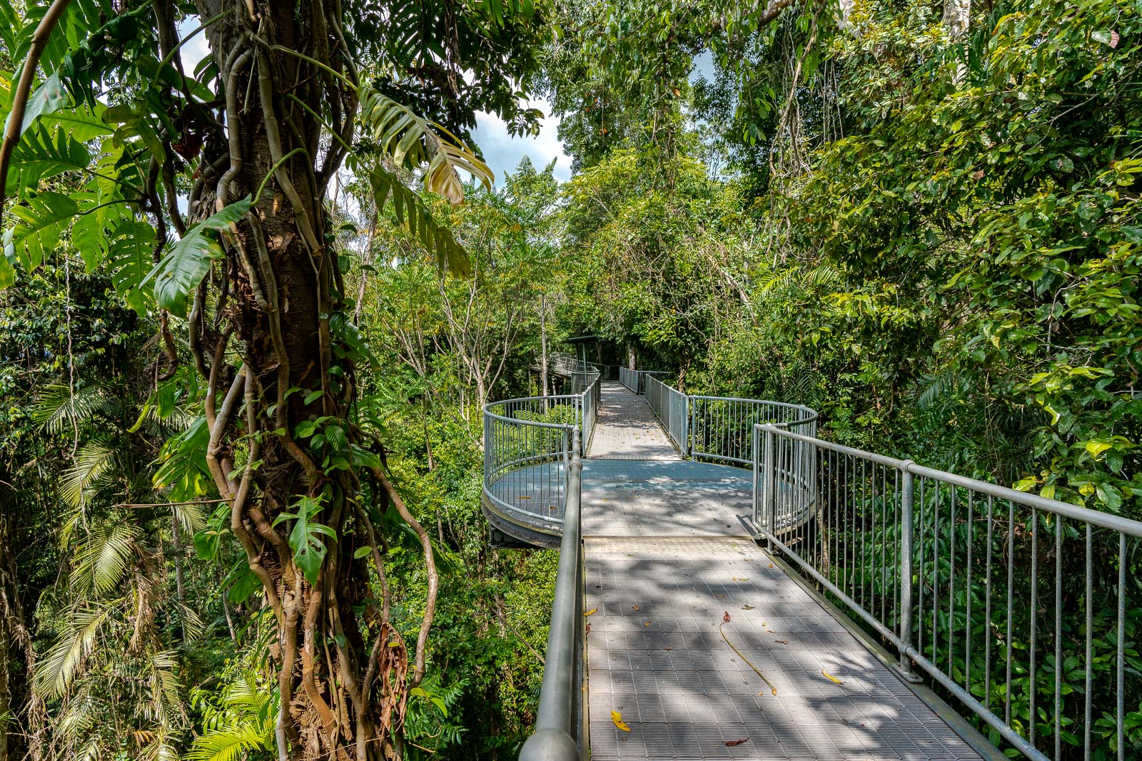 Mamu Tropical Skywalk, Innisfail, Queensland
