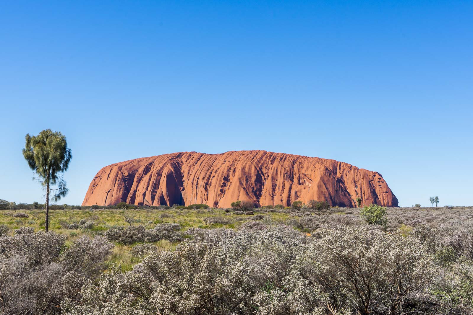 The Best Things To Do In The Northern Territory (2023)