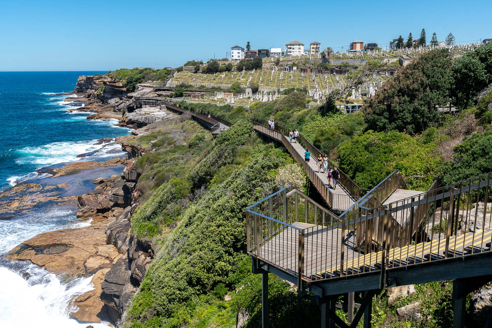 Guide to the Bondi to Coogee Walk