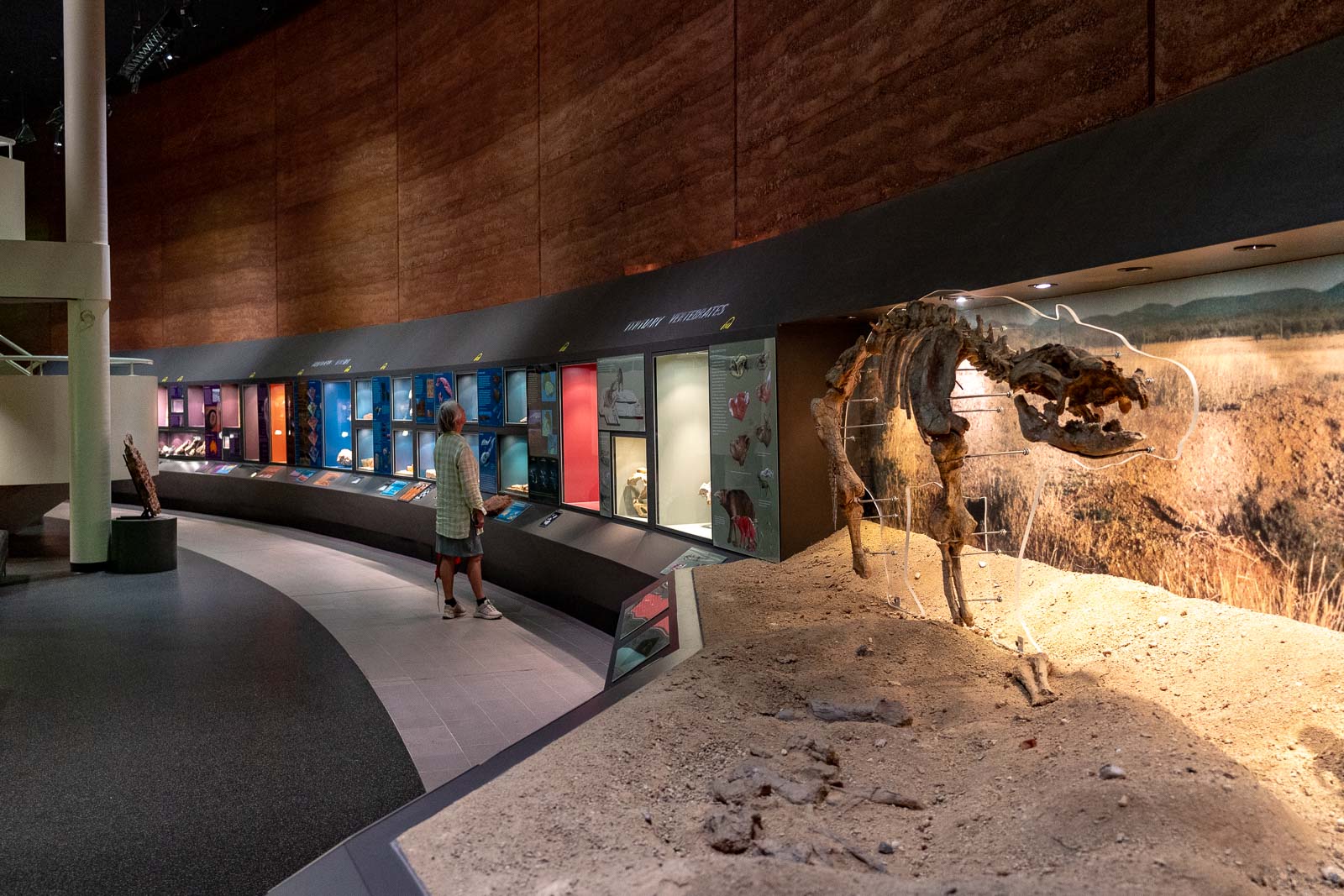 Museum of Central Australia in Alice Springs (2024)